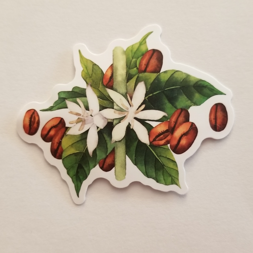 10/$10 Coffee Bean Plant Sticker